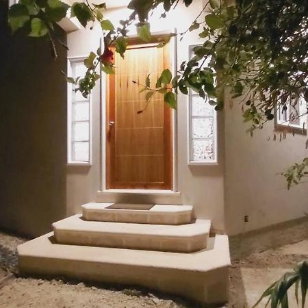 New! Casa Xola Cenote And Fauna Loft كوزوميل المظهر الخارجي الصورة