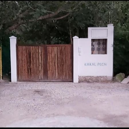 New! Casa Xola Cenote And Fauna Loft كوزوميل المظهر الخارجي الصورة