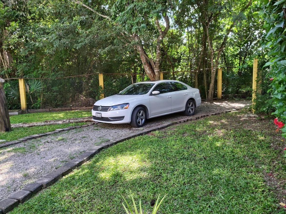 New! Casa Xola Cenote And Fauna Loft كوزوميل المظهر الخارجي الصورة