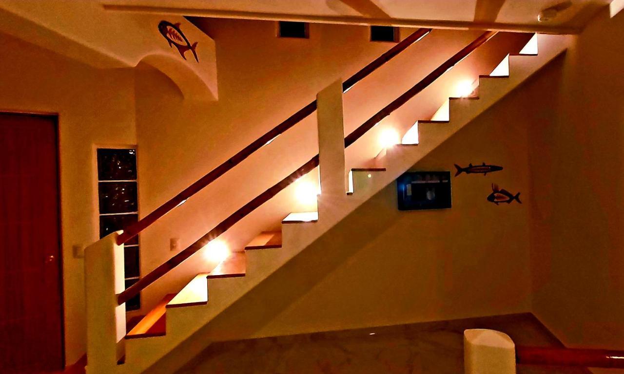 New! Casa Xola Cenote And Fauna Loft كوزوميل المظهر الخارجي الصورة