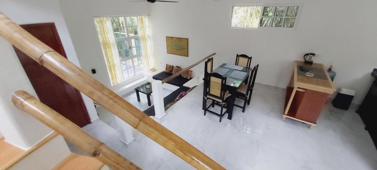 New! Casa Xola Cenote And Fauna Loft كوزوميل المظهر الخارجي الصورة