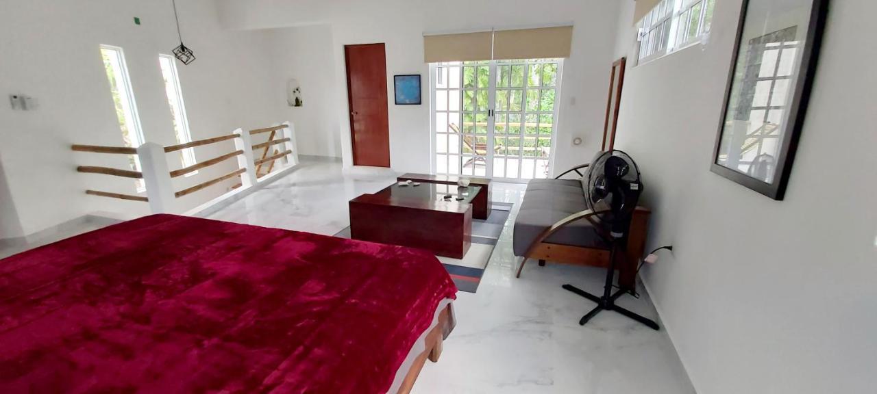 New! Casa Xola Cenote And Fauna Loft كوزوميل المظهر الخارجي الصورة