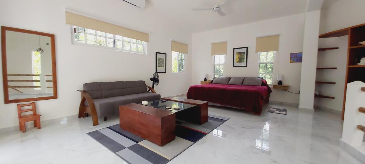 New! Casa Xola Cenote And Fauna Loft كوزوميل المظهر الخارجي الصورة