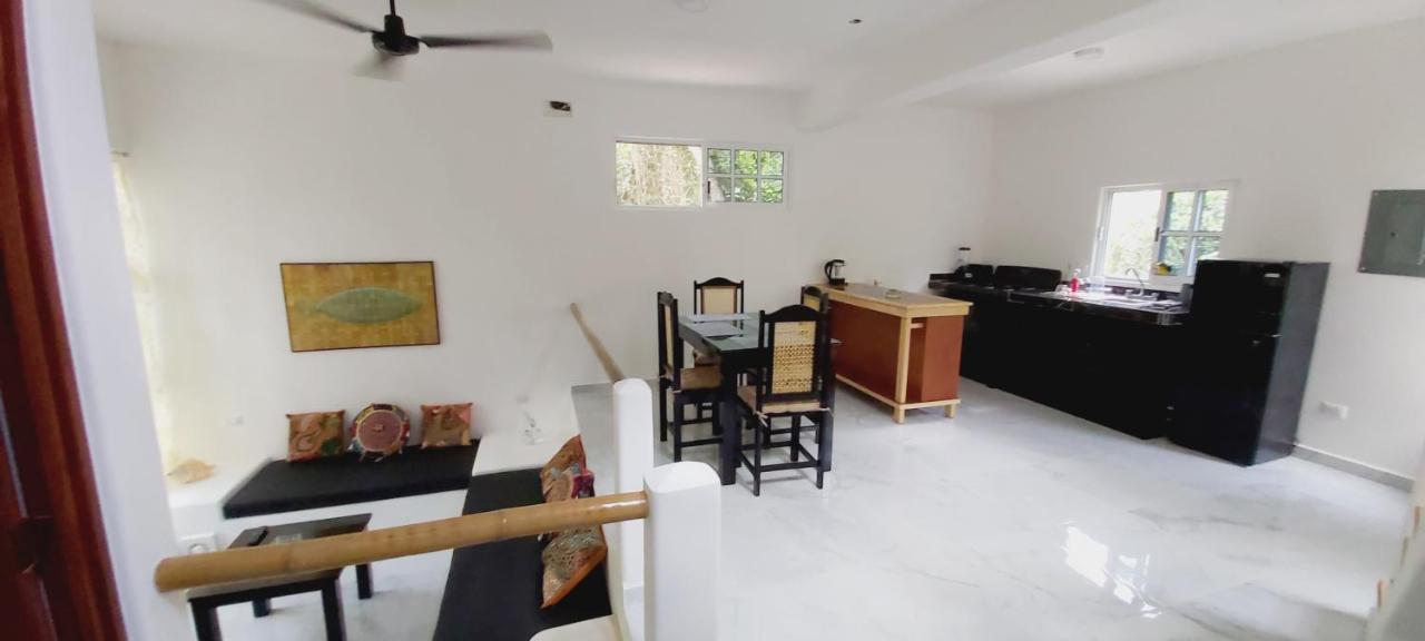 New! Casa Xola Cenote And Fauna Loft كوزوميل المظهر الخارجي الصورة