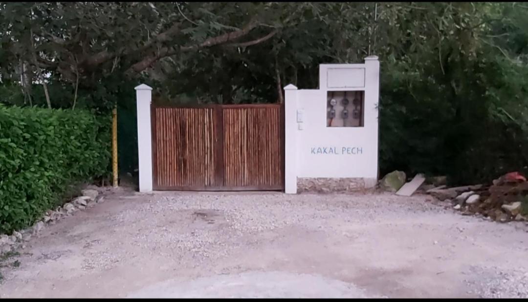 New! Casa Xola Cenote And Fauna Loft كوزوميل المظهر الخارجي الصورة